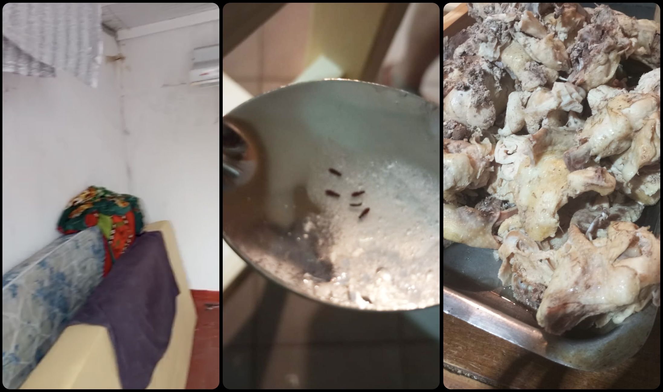 贝博体育官方网站 - 体育培训体育官网-手机版阿根廷足球青训黑幕:梦想工厂背后的残酷体系